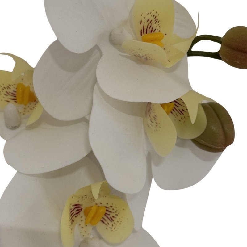 Tall White Butterfly Orchid Stem Artificial Flower Stem - Artificial Plants & Trees - British D'sire