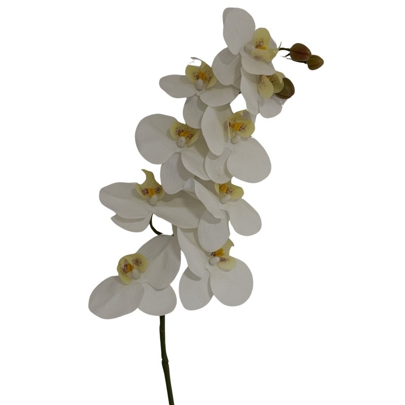 Tall White Butterfly Orchid Stem Artificial Flower Stem - Artificial Plants & Trees - British D'sire