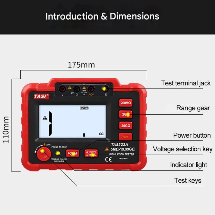 TASI TA8322A High Voltage Digital Electronic Meter Insulation Resistance Tester - British D'sire
