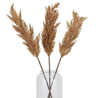 Taupe Faux Dried Pampas Grass Stem - Artificial Plants & Trees - British D'sire