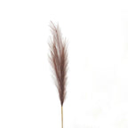 Taupe Faux Pampas Grass Stem for Floral Arrangements - Artificial Plants & Trees - British D'sire
