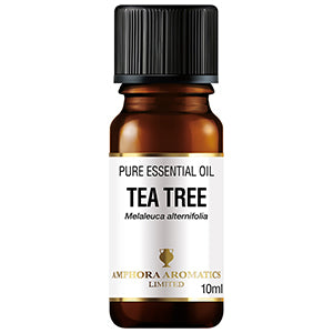 Amphora Aromatics Tea Tree Essential Oil Australian, 10ml Main image