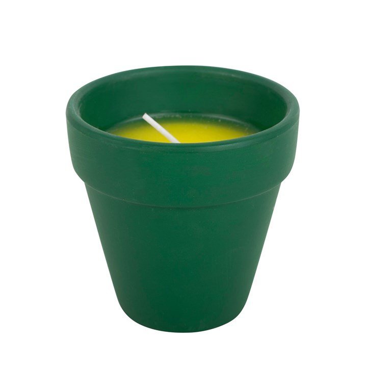 Thank You for Helping Me Grow Citronella Candle - British D'sire