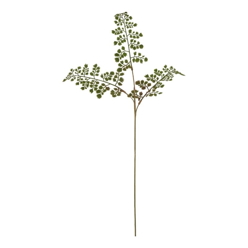 The Natural Garden Collection Maidenhair Fern Stem Artificial Flower - Artificial Plants & Trees - British D'sire