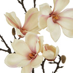 The Natural Garden Collection Pale Apricot Magnolia Stem Artificial - Artificial Plants & Trees - British D'sire