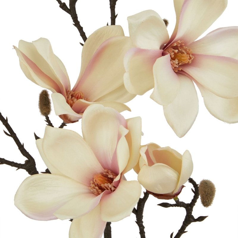 The Natural Garden Collection Pale Apricot Magnolia Stem Artificial - Artificial Plants & Trees - British D'sire