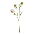 The Natural Garden Collection Pale Pink Scabious Stem Artificial - Artificial Plants & Trees - British D'sire