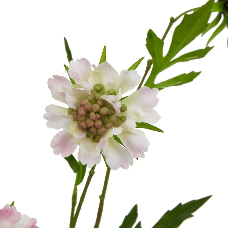 The Natural Garden Collection Pale Pink Scabious Stem Artificial - Artificial Plants & Trees - British D'sire