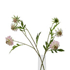 The Natural Garden Collection Pale Pink Scabious Stem Artificial - Artificial Plants & Trees - British D'sire