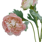 The Natural Garden Collection Pink Ranunculus Artificial Flower Stem - Artificial Plants & Trees - British D'sire