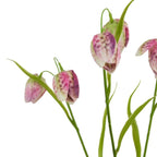 The Natural Garden Collection Purple Fritillaria Stem Artificial - Artificial Plants & Trees - British D'sire