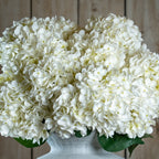 The Natural Garden Collection White Allium Artificial Flower Stem - Artificial Plants & Trees - British D'sire