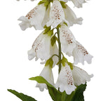 The Natural Garden Collection White Foxglove Artificial Flower Stem - Artificial Plants & Trees - British D'sire
