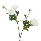 The Natural Garden Collection White Ranunculus Artificial Flower Stem - Artificial Plants & Trees - British D'sire