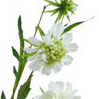 The Natural Garden Collection White Scabious Stem Artificial Flower - Artificial Plants & Trees - British D'sire