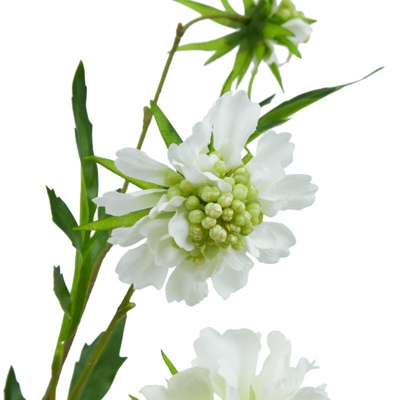 The Natural Garden Collection White Scabious Stem Artificial Flower - Artificial Plants & Trees - British D'sire