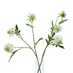 The Natural Garden Collection White Scabious Stem Artificial Flower - Artificial Plants & Trees - British D'sire