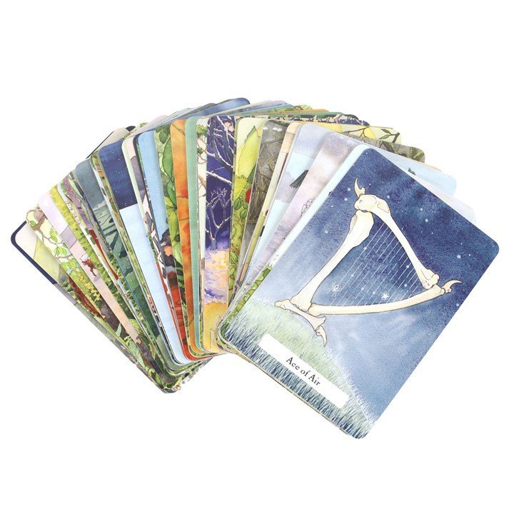 The Witches' Wisdom Tarot Cards Standard Edition - British D'sire