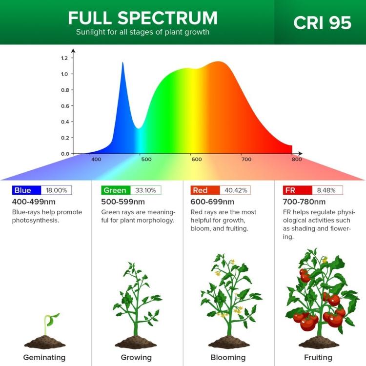 [UK Warehouse] 20W Clip LED Grow Light Full Spectrum for Indoor Plants Veg Seedling Lamp - British D'sire