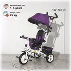 [UK Warehouse] 6 in 1 Kids Trike Push Bike w/ Push Handle, Canopy, 5-point Seat Belt, Storage, Footrest, Brake, for 1-5 Years, Purple - British D'sire