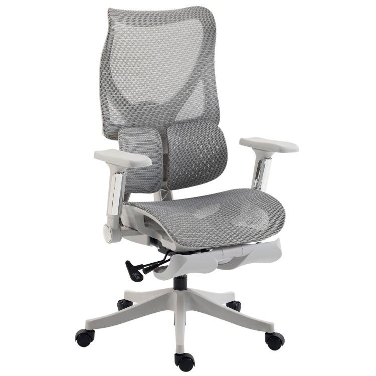 [UK Warehouse] Ergonomic Office Chair with Lumbar Support, Mesh Reclining Desk Chair with Footrest, Adjustable High Back, Grey - British D'sire