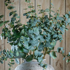 Variegated Eucalyptus Artificial Flower Stem - Artificial Plants & Trees - British D'sire