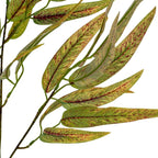 Variegated Long Leaf Eucalyptus Spray Artificial Flower Stem - Artificial Plants & Trees - British D'sire