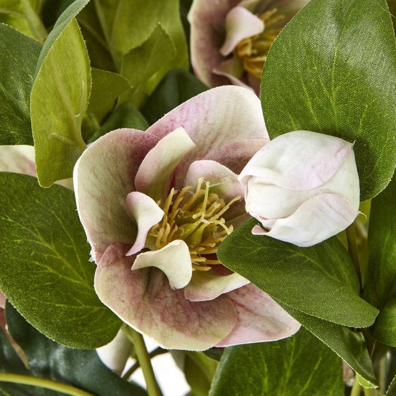 Variegated Pink Hellebore Plant In Grey Pot Artificial Flower Stem - Artificial Plants & Trees - British D'sire