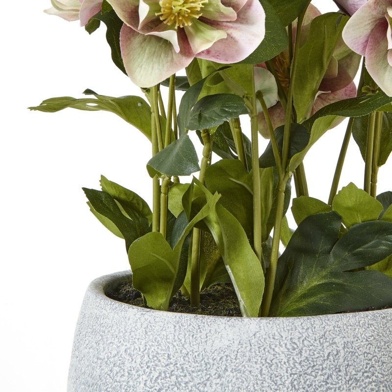Variegated Pink Hellebore Plant In Grey Pot Artificial Flower Stem - Artificial Plants & Trees - British D'sire