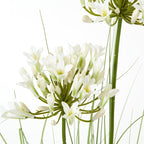 White Agapanthus Plant In Pot Artificial Flower Stem - Artificial Plants & Trees - British D'sire