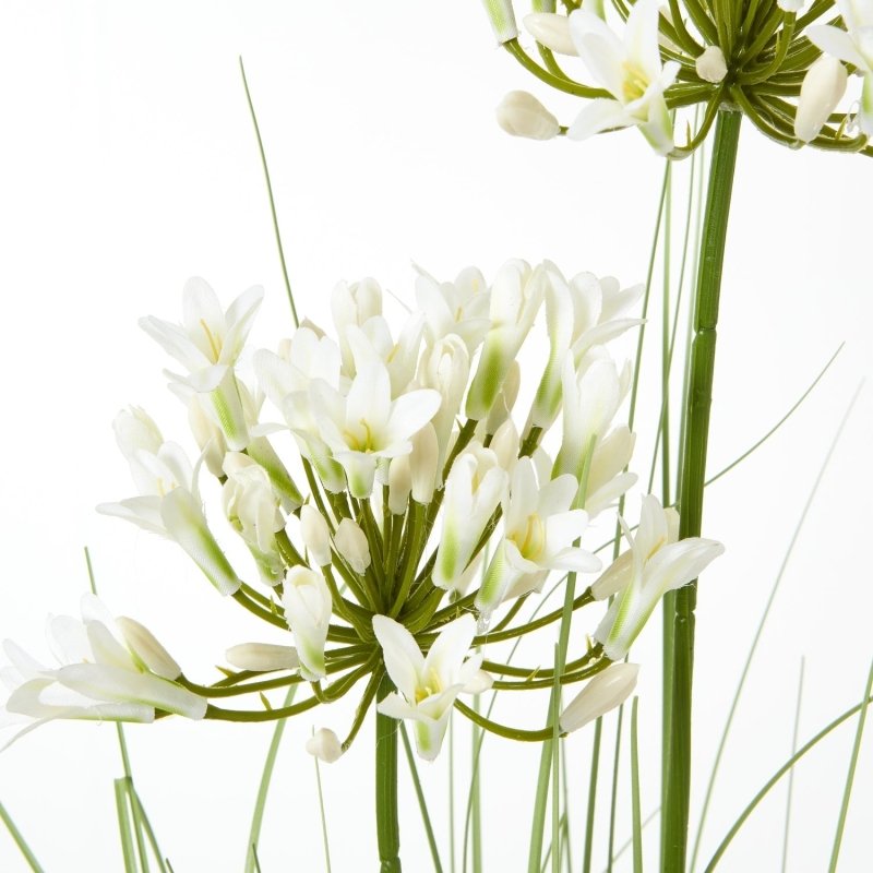 White Agapanthus Plant In Pot Artificial Flower Stem - Artificial Plants & Trees - British D'sire