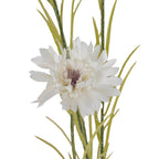 White Cornflower Stem Artificial Flower Stem - Artificial Plants & Trees - British D'sire