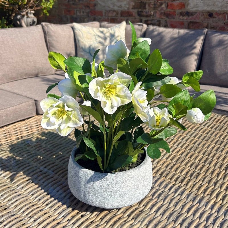 White Hellebore Plant In Grey Pot Artificial Flower Stem Secondary image