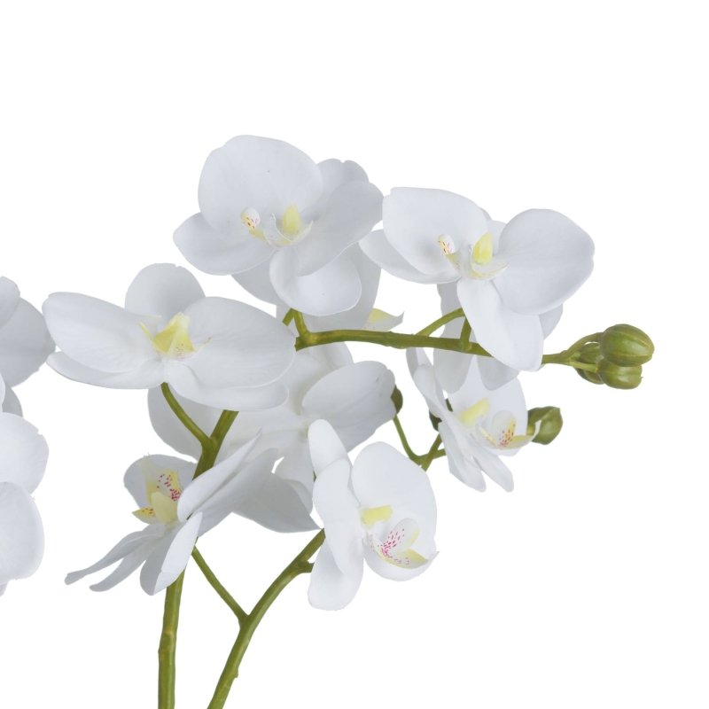 White Orchid In Glass Pot Artificial Flower Stem - Artificial Plants & Trees - British D'sire