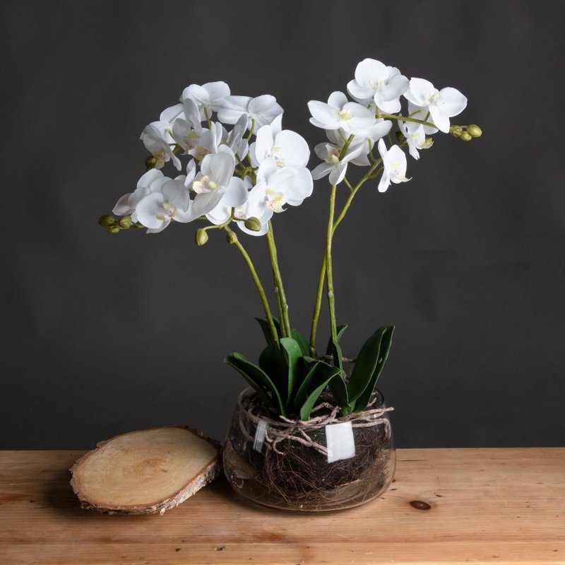 White Orchid In Glass Pot Artificial Flower Stem - Artificial Plants & Trees - British D'sire