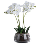 White Orchid In Glass Pot Artificial Flower Stem - Artificial Plants & Trees - British D'sire