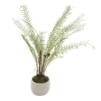 White Potted Boston Fern Artificial Flower Stem - Artificial Plants & Trees - British D'sire
