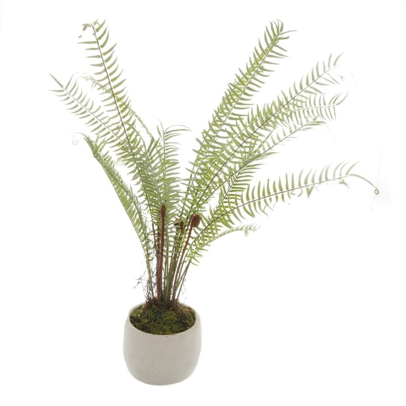 White Potted Boston Fern Artificial Flower Stem - Artificial Plants & Trees - British D'sire