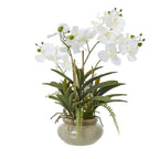 White Vanda Orchid Plant In Ceramic Pot Artificial Flower Stem - Artificial Plants & Trees - British D'sire