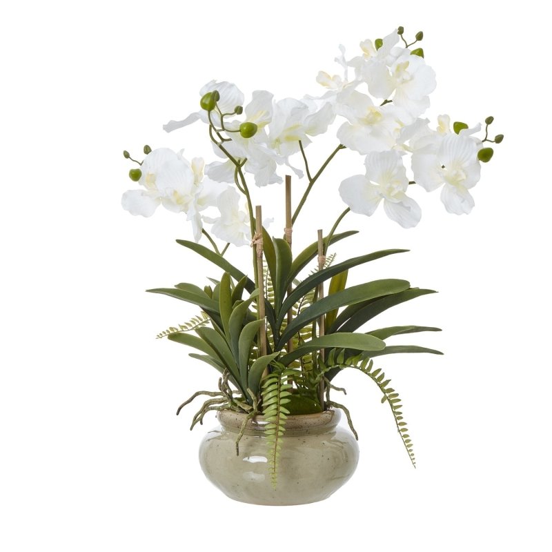 White Vanda Orchid Plant In Ceramic Pot Artificial Flower Stem - Artificial Plants & Trees - British D'sire