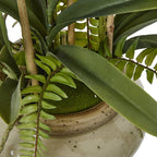 White Vanda Orchid Plant In Ceramic Pot Artificial Flower Stem - Artificial Plants & Trees - British D'sire