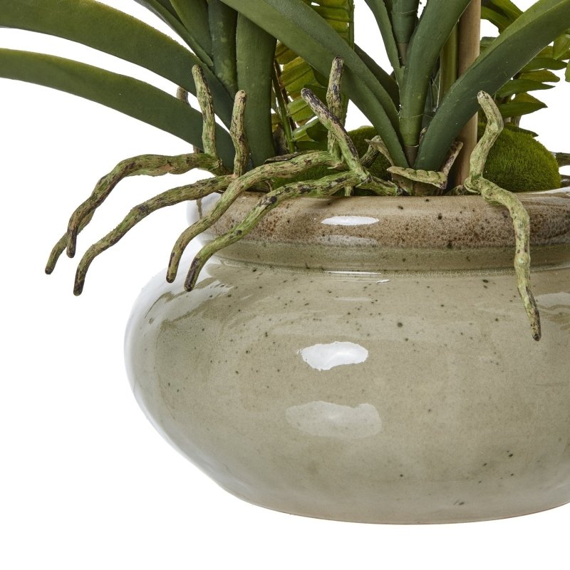White Vanda Orchid Plant In Ceramic Pot Artificial Flower Stem - Artificial Plants & Trees - British D'sire