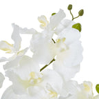 White Vanda Orchid Plant In Ceramic Pot Artificial Flower Stem - Artificial Plants & Trees - British D'sire