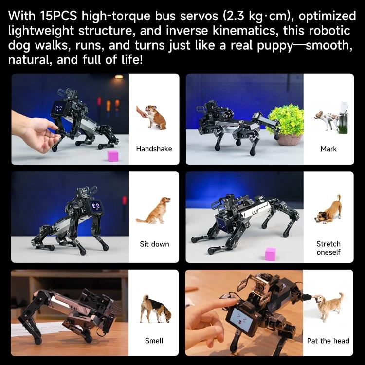 YAHBOOM DOGZILLA - Lite AI - Powered Bionic Robotic Dog 15 - DOF Desktop Companion With Robotic Arm, Raspberry Pi Controlled, Multimodal AI & Visual Interaction - British D'sire