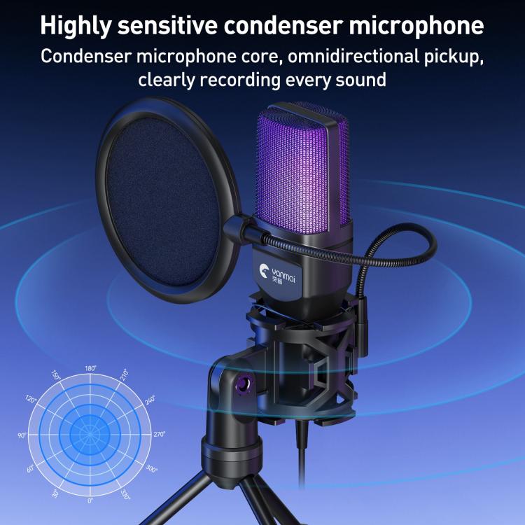 Yanmai SF - 777R RGB Light Desktop Noise Reduction Microphone with Anti - spray Net - British D'sire