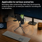Yanmai SF - 777R RGB Light Desktop Noise Reduction Microphone with Anti - spray Net - British D'sire