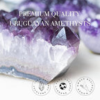 Zen – Deep Purple Project Amethyst Crystal Cluster Geode (0.5 - 4 lb) – Perfect for Meditation, Healing & Elegant Decor. - Natural Amethyst Crystal - British D'sire