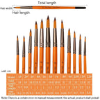 ZHU TING 12 PCS / Set Short Wooden Pole Nylon Hair Watercolor Hook Line Brush Nail Oil Painting Stroke Brush - British D'sire