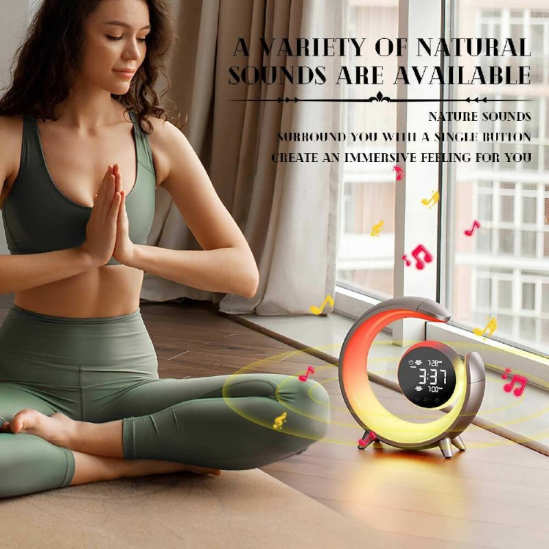 20W Dual Alarm Clock Touch Control Wake Up RGB Light with Nature Music for Sleep Promation(Gold) - larm Clock Touch Control Wake Up RGB Light - British D'sire