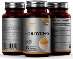 GH Cordyceps Capsules 650mg | Cordyceps Sinensis Extract | 90 Vegan Capsules | Cordyceps Funghi | Manufactured in ISO Licenced Facilities | Non-GMO, Dairy Free & Gluten Free